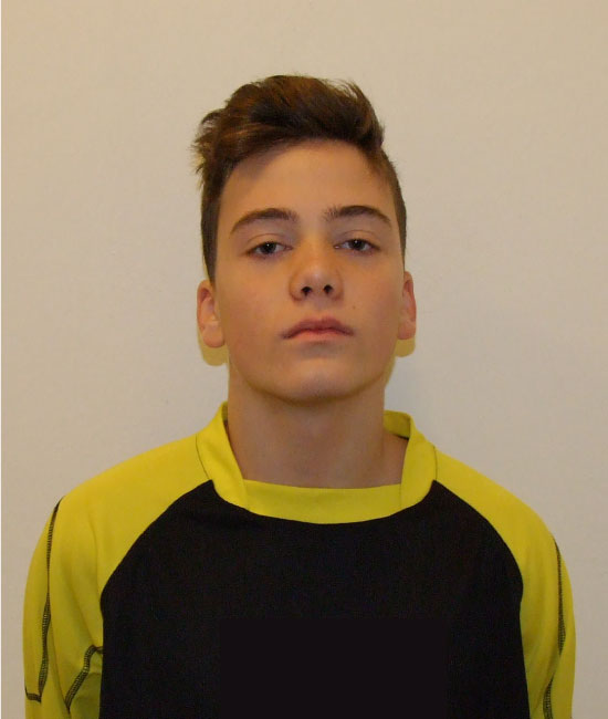 Dominik Petruša (V)